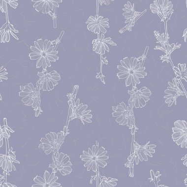 Hindiba çiçekli kusursuz botanik desen, gri arkaplanda çizgi sanatı