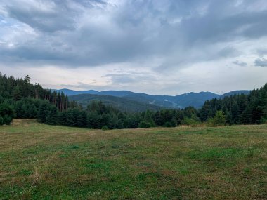 Yoğun ormanların önünde huzurlu bir çayır uzanır. Yuvarlak tepeler ve görkemli dağlar yumuşak bulutlu gökyüzünün altında..