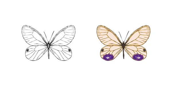 手绘蝴蝶有趣的蝴蝶图片 矢量可伸缩性图形 — 图库矢量图片