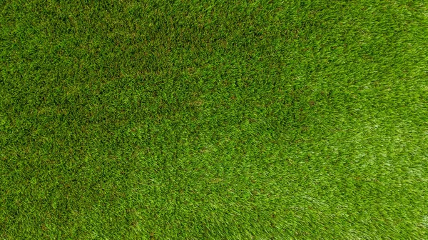 Trawa Prawdziwe Pole Tło Światło Naturalne Zieleń Podłoga Zewnątrz Tapety — Zdjęcie stockowe