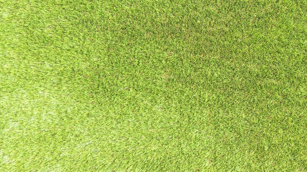 Zielone Trawa Pole Tekstury Lato Górny Widok Prawdziwego Tła — Zdjęcie stockowe