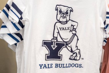 Bordeaux, Aquitaine France - 04 02 2023: Yale Üniversitesi bulldogları, üniversiteler arası özel üniversiteler arası atletizm özel üniversitesi New Haven, Connecticut 'da