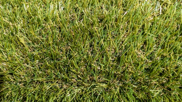 Zielony Trawa Pole Trawa Trawa Tekstura Przyrodzie Góry Widok Tło — Zdjęcie stockowe