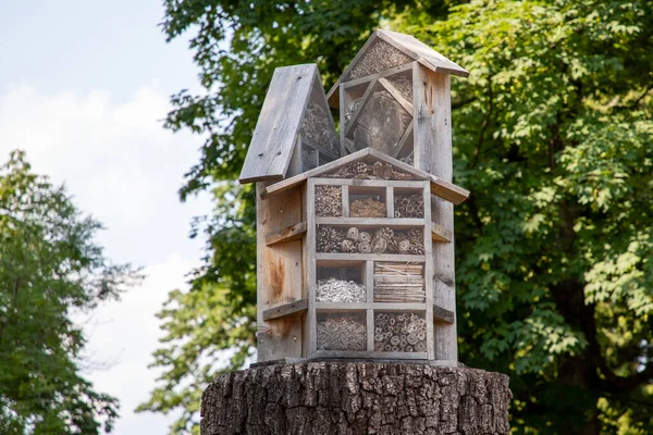 Hmyz Hotel Tři Dřevěné Chýše Pro Motýly Včely Zvířata — Stock fotografie