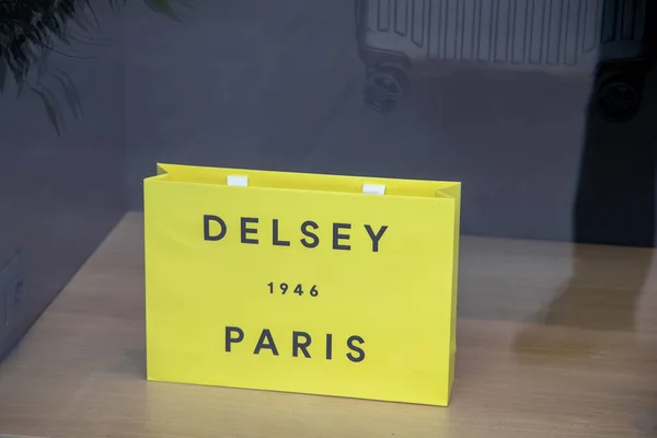 Lyon Frankrike 2023 Delsey Paris Logo Skylt Och Varumärke Text — Stockfoto