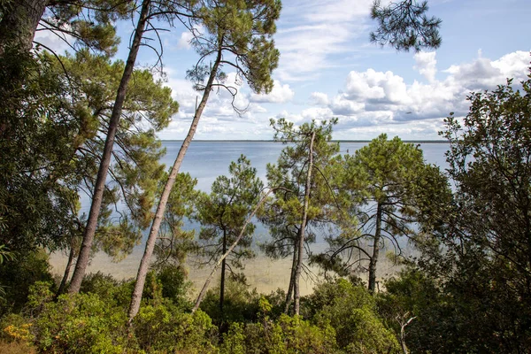Francuskie Jezioro Wydmie Piaszczysta Plaża Maubuisson Carcans Wieś Gironde Francja — Zdjęcie stockowe