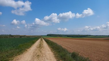 Köylü çiftçinin Panorama 'da ektiği tarlalardan geçen kırsal yol.