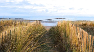 Beach sea pathway with sand dunes and sandy fence access on atlantic ocean France southwest clipart