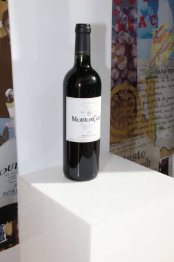 Bordeaux, Fransa - 01 07 2025: mouton Harp Okulu öğrencisi Fransız Şarabı 2007: Baron Philippe de Rothschild