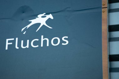 Bordeaux, Fransa - 01 29 2025: Fluchos marka mağaza logosu ve moda ayakkabı butik ayakkabı mağazası ön cephesi için metin zinciri