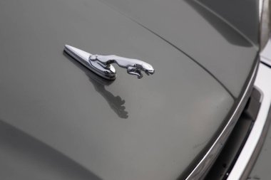 Bordeaux, Fransa - 03 10 2025: Jaguar xjs araba logosu ve 70 'lerin ön kapak işareti klasik eski model kaput detayı