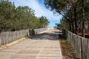 Batı kıyısındaki Arcachon kum tepeciklerindeki ahşap patika giriş Fransa 'nın saygısız gelincik denizindeki büyük Crohot Sahili.