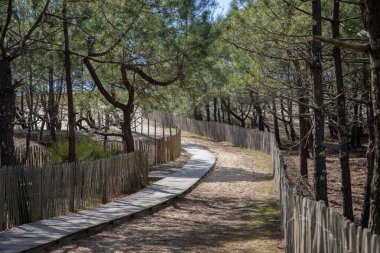 Kumlu patika girişi Atlantic Beach le grand crohot in respect-cap-Ferret France Güneybatı