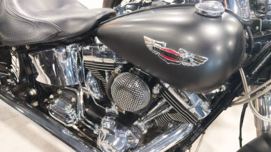 Bordeaux, Fransa - 04 16 2025: Harley Davidson Softail Roadster logo metni ve Amerikan özel motosikletinin siyah gri tankının üzerindeki marka işareti