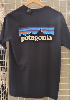Bordeaux, Fransa - 06 07 2025: Patagonya logosu ve tişört giysisi üzerindeki yazı