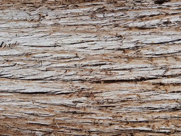 A detailed close-up photograph of the intricate patterns and varied shades of aged tree bark. The twisted, cracked surface creates an abstract, sculpted landscape that reveals the artistic qualities of nature through its organic textures and natural