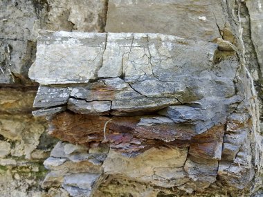 Gri ve kahverengi tonlardan oluşan, pürüzlü ve dokulu bir taş maddesinin küçük çakıl ve taşlarla birleştirilmiş, pürüzlü ve yıpranmış yüzeyine dağılmış küçük çakıl ve taşlardan oluşan yakın çekim görüntüsü..
