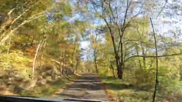 Conduciendo Largo Una Estrecha Carretera Rural Solo Carril Campo Woodstock — Vídeos de Stock
