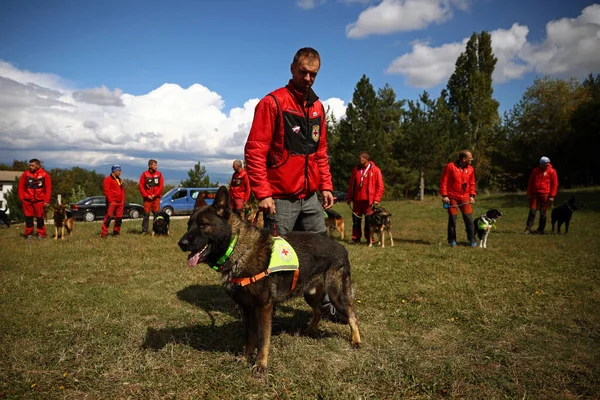 Lozen Bulgaria Settembre 2022 Paramedici Della Croce Rossa Bulgara Partecipano — Foto Stock