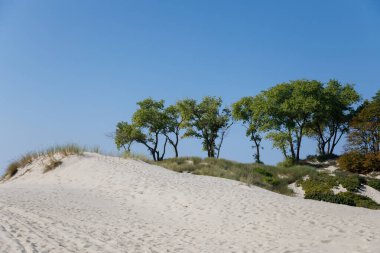 Yazın Vistula Tükürüğünün manzarası