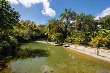 Yazın Tel Aviv 'deki Yarkon Parkı.