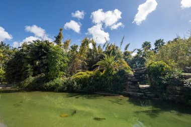 Yazın Tel Aviv 'deki Yarkon Parkı.