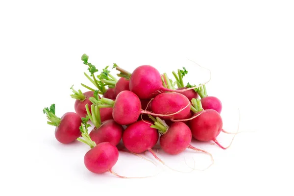 Κόκκινο Μωβ Ραπανάκι Οργανική Σαλάτα Μείγμα Υγιή Φυσική Τροφή Απομονωμένη — Φωτογραφία Αρχείου