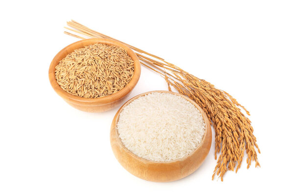 Rice and rice grains in a brown wooden bowl, top view with yellow ears of rice separated from the background