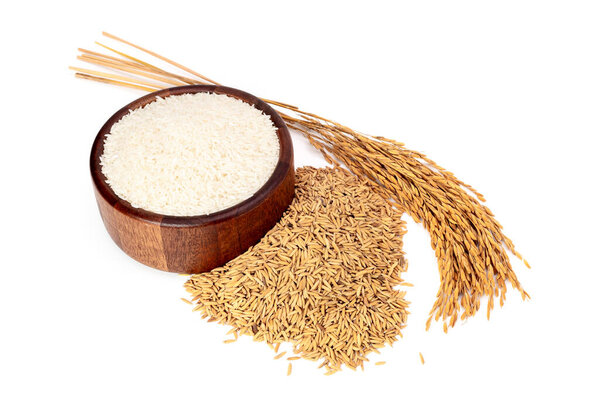 Rice and rice grains in a brown wooden bowl, top view with yellow ears of rice separated from the background