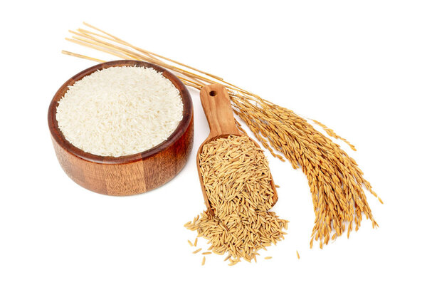 Rice and rice grains in a brown wooden bowl, top view with yellow ears of rice separated from the background