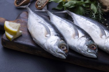 Çiğ uskumru, deniz ürünleri, siyah arka planda pişirmeye hazır.