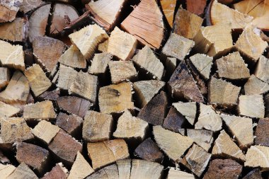 Kesilmiş yakacak odunları tam kare yakın çekim görüntüsü.