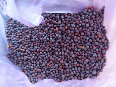 Kahverengi hardal tohumları pembe plastik torbada izole edilmiş.