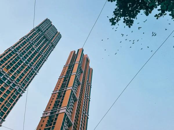 Turuncu gökdelen iki bina elektrik hatları ve mavi gökyüzündeki ağaçların üzerinden uçan kuş sürüsü.