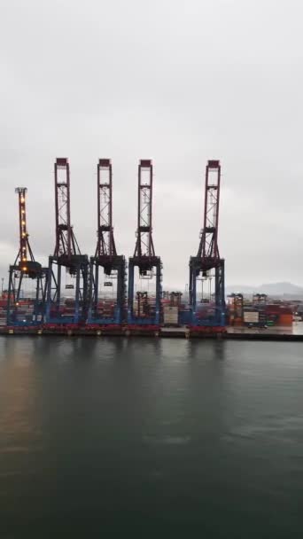 Santos Sao Paulo Brazil December 2022 Several Cranes Containers Lined — Stock Video