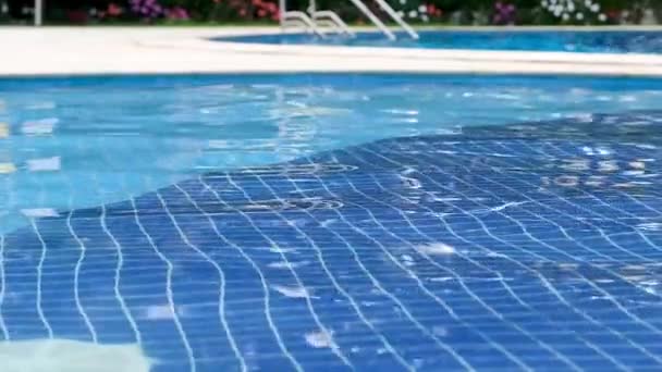 Swimming Pool Water Undulation Sunny Day — Stock Video