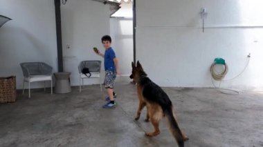 10 yaşındaki bir çocuk Alman çoban köpeğinin ağzından küçük bir Amerikan futbolu topunu alır ve yakalaması için fırlatır..