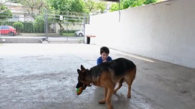 10 yaşındaki çocuk çömelmiş, Alman çoban köpeğiyle oynuyor ve ona sarılıyor..