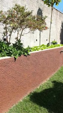 Biberli ve yapraklı küçük bir ev bahçesi bir duvarın yanında _ dikey.