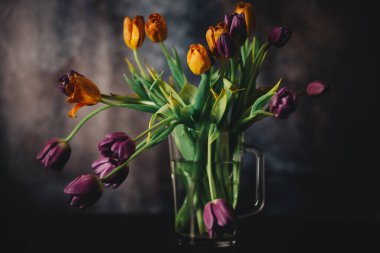 Karanlık bir arka planda bir buket lale.