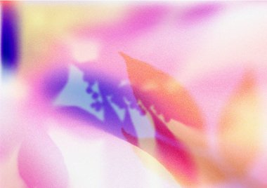 Kalın ve Moda Yaz Titreşimleri Dokusu