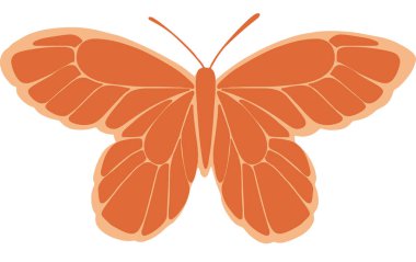 Ezoterik bir kelebeğin vektör çizimi, turuncu ve kumlu renkler