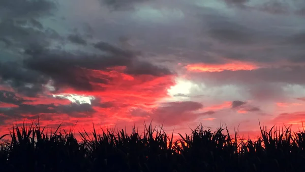 Изображение Красивого Заката Дождевыми Облаками Красным Небом Центре Поля — стоковое фото