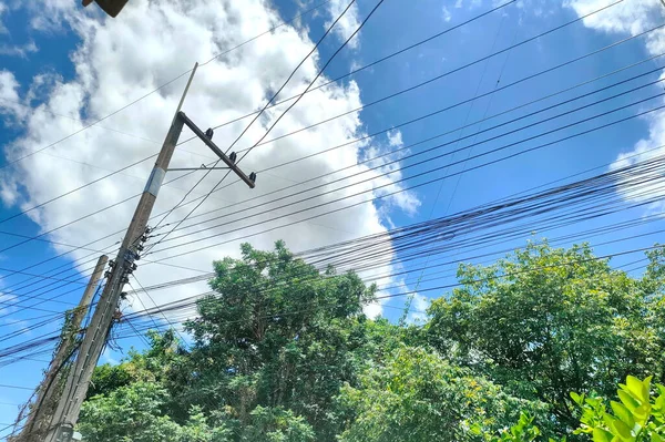 Paisagem Árvore Poste Elétrico Linhas Energia Estriadas Através Céu Brilhante — Fotografia de Stock