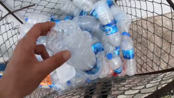 쓰레기를 재활용 애완용 모으는 플라스틱으로부터 자연을 보호하라 — 비디오