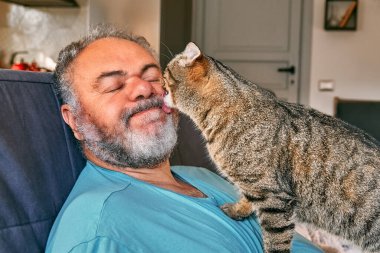 Tabby cat licking face of bearded man in living room. Human-animal relationships. Pets care. Funny home pet. Cat day. Selective focus. Adopted pet.