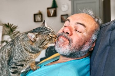 Tabby cat licking face of bearded man in living room. Human-animal relationships. Pets care. Funny home pet. Cat day. Selective focus. Adopted pet.