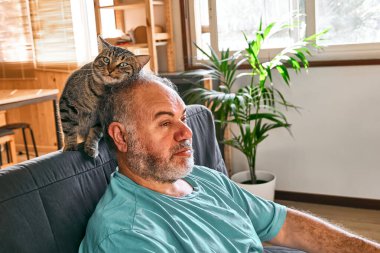 Tabby cat licking head of bearded man in living room. Human-animal relationships. Pets care. Funny home pet. Cat day. Selective focus. Adopted pet.