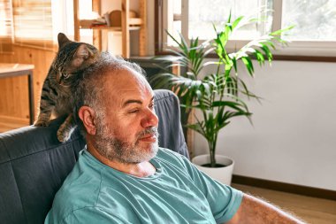 Tabby cat licking head of bearded man in living room. Human-animal relationships. Pets care. Funny home pet. Cat day. Selective focus. Adopted pet.