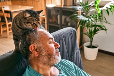 Tabby cat licking head of bearded man in living room. Human-anim